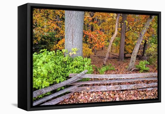 Pennsylvania, Benton. Split Rail Fence in Ricketts Glen State Park-Jay O'brien-Framed Premier Image Canvas