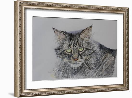 Pennsylvania Cat, 2009-Anthony Butera-Framed Giclee Print