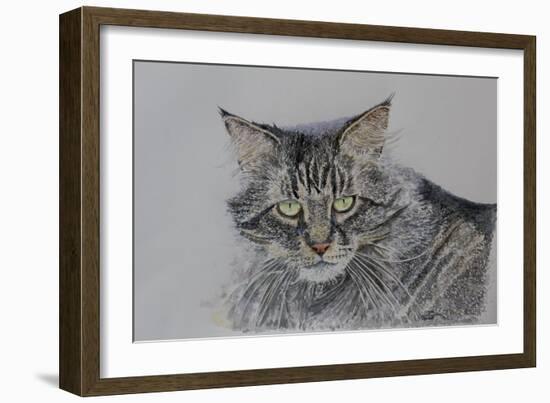 Pennsylvania Cat, 2009-Anthony Butera-Framed Giclee Print