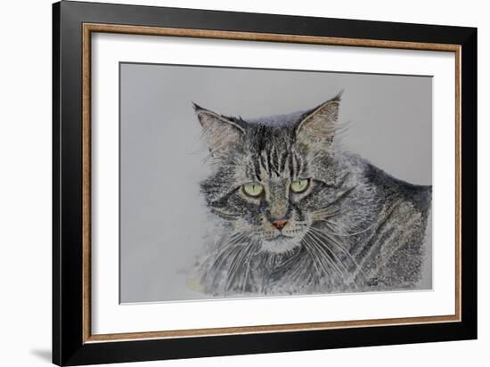 Pennsylvania Cat, 2009-Anthony Butera-Framed Giclee Print