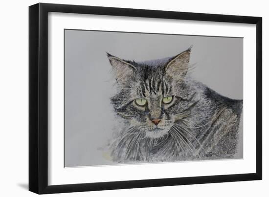 Pennsylvania Cat, 2009-Anthony Butera-Framed Giclee Print