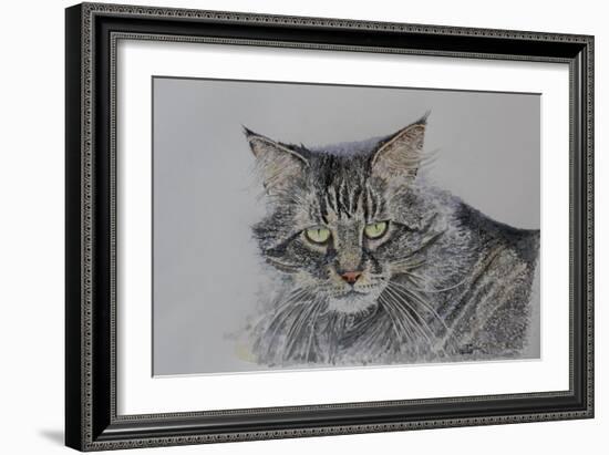 Pennsylvania Cat, 2009-Anthony Butera-Framed Giclee Print