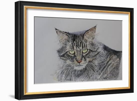 Pennsylvania Cat, 2009-Anthony Butera-Framed Giclee Print