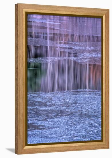 Pennsylvania, Delaware Water Gap NRA. Tree Reflection on Icy Lake-Jay O'brien-Framed Premier Image Canvas
