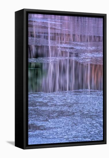 Pennsylvania, Delaware Water Gap NRA. Tree Reflection on Icy Lake-Jay O'brien-Framed Premier Image Canvas