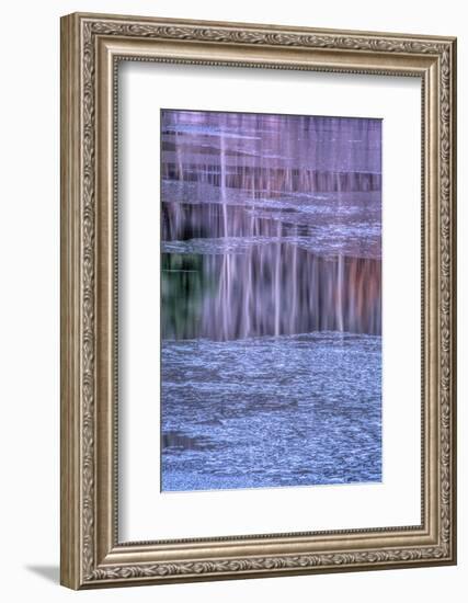 Pennsylvania, Delaware Water Gap NRA. Tree Reflection on Icy Lake-Jay O'brien-Framed Photographic Print