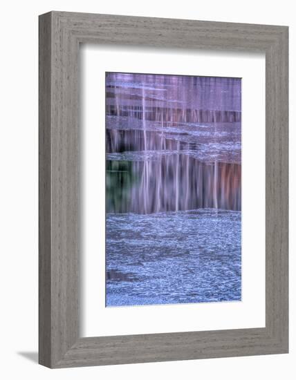 Pennsylvania, Delaware Water Gap NRA. Tree Reflection on Icy Lake-Jay O'brien-Framed Photographic Print