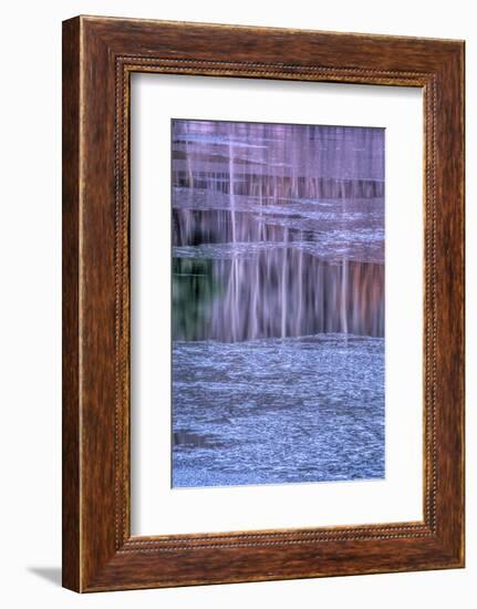 Pennsylvania, Delaware Water Gap NRA. Tree Reflection on Icy Lake-Jay O'brien-Framed Photographic Print