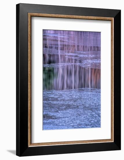 Pennsylvania, Delaware Water Gap NRA. Tree Reflection on Icy Lake-Jay O'brien-Framed Photographic Print