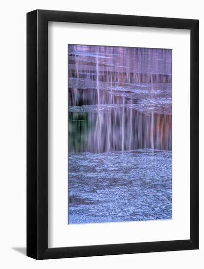 Pennsylvania, Delaware Water Gap NRA. Tree Reflection on Icy Lake-Jay O'brien-Framed Photographic Print