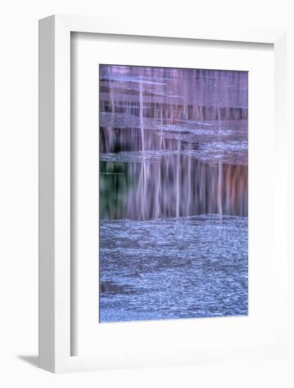 Pennsylvania, Delaware Water Gap NRA. Tree Reflection on Icy Lake-Jay O'brien-Framed Photographic Print