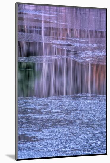 Pennsylvania, Delaware Water Gap NRA. Tree Reflection on Icy Lake-Jay O'brien-Mounted Photographic Print