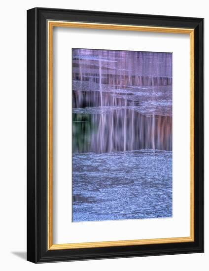 Pennsylvania, Delaware Water Gap NRA. Tree Reflection on Icy Lake-Jay O'brien-Framed Photographic Print