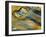 Pennsylvania, Delaware Watergap Nra. Flowing Water Abstract-Jay O'brien-Framed Photographic Print