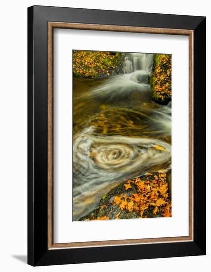 Pennsylvania, Delaware Watergap Nra. Waterfall and Swirling Pool-Jay O'brien-Framed Photographic Print