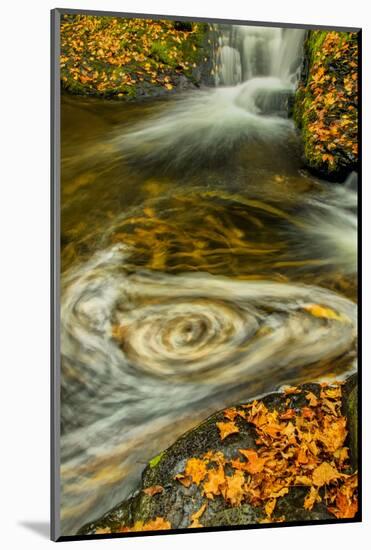 Pennsylvania, Delaware Watergap Nra. Waterfall and Swirling Pool-Jay O'brien-Mounted Photographic Print