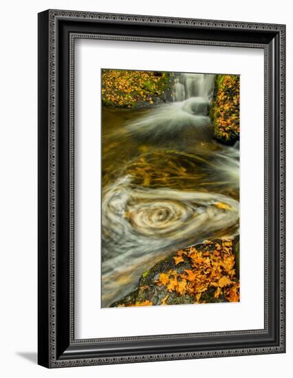 Pennsylvania, Delaware Watergap Nra. Waterfall and Swirling Pool-Jay O'brien-Framed Photographic Print