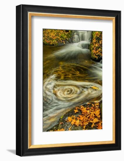 Pennsylvania, Delaware Watergap Nra. Waterfall and Swirling Pool-Jay O'brien-Framed Photographic Print