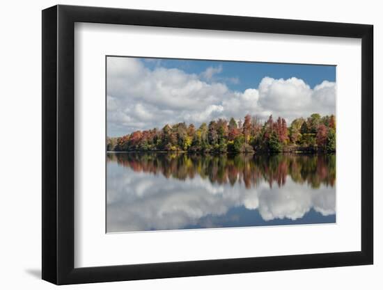 Pennsylvania, Ricketts Glen State Park. Clouds and Colorful Fall Foliage Reflected in a Lake-Judith Zimmerman-Framed Photographic Print