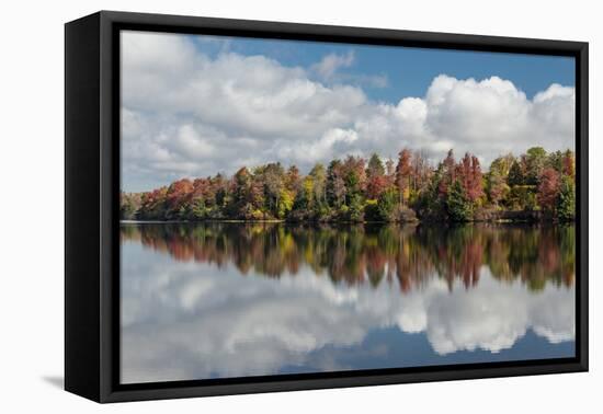 Pennsylvania, Ricketts Glen State Park. Clouds and Colorful Fall Foliage Reflected in a Lake-Judith Zimmerman-Framed Premier Image Canvas