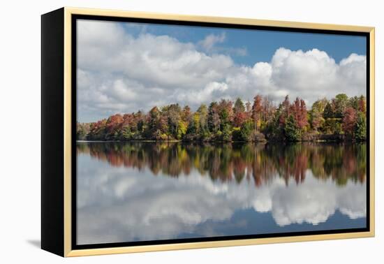 Pennsylvania, Ricketts Glen State Park. Clouds and Colorful Fall Foliage Reflected in a Lake-Judith Zimmerman-Framed Premier Image Canvas