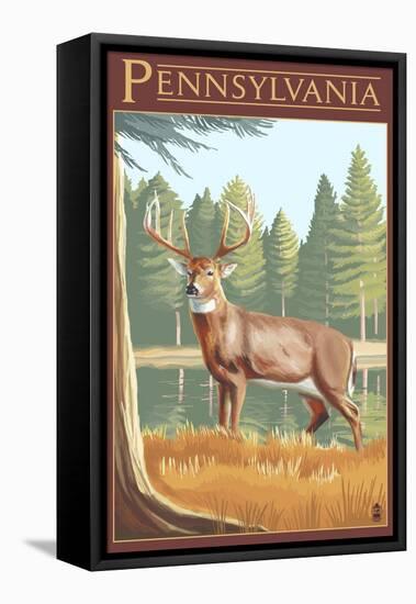 Pennsylvania White Tailed Deer-Lantern Press-Framed Stretched Canvas