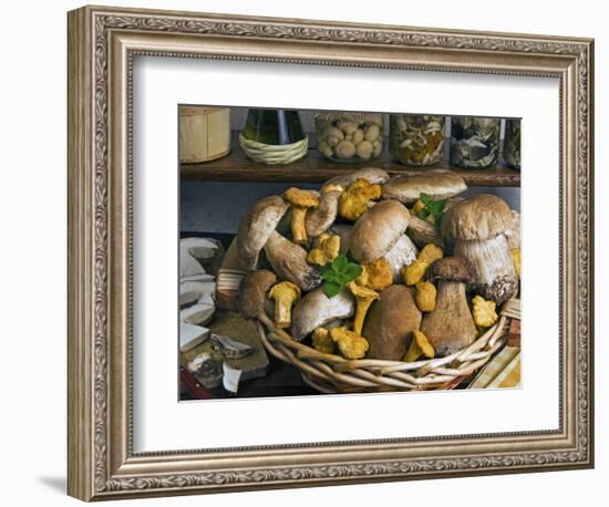 Penny Bun, Cap (Boletus Edulis), Chanterelles (Cantharellus Cibarius), Mushrooms, Italy-Nico Tondini-Framed Photographic Print