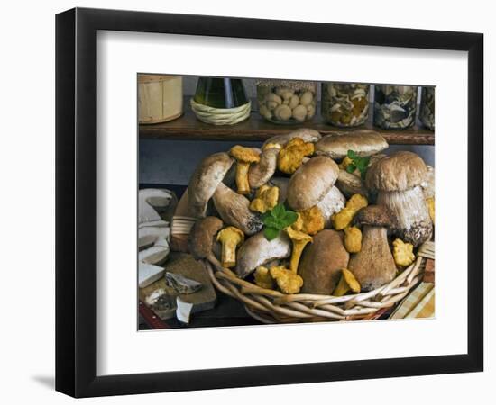 Penny Bun, Cap (Boletus Edulis), Chanterelles (Cantharellus Cibarius), Mushrooms, Italy-Nico Tondini-Framed Photographic Print