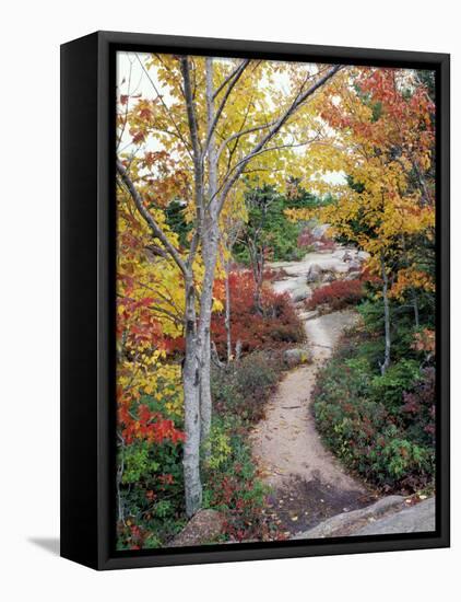 Penobscot Mountain Hiking Trails in Fall, Maine, USA-Jerry & Marcy Monkman-Framed Premier Image Canvas