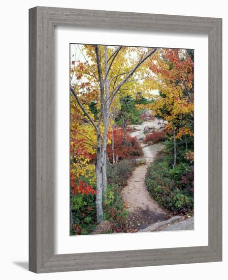 Penobscot Mountain Hiking Trails in Fall, Maine, USA-Jerry & Marcy Monkman-Framed Photographic Print