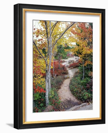 Penobscot Mountain Hiking Trails in Fall, Maine, USA-Jerry & Marcy Monkman-Framed Photographic Print