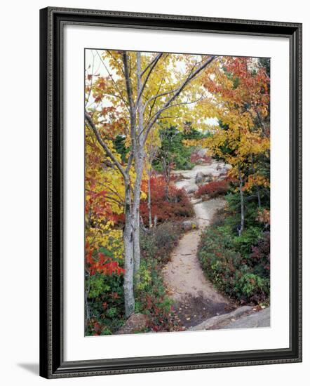 Penobscot Mountain Hiking Trails in Fall, Maine, USA-Jerry & Marcy Monkman-Framed Photographic Print