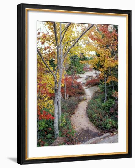 Penobscot Mountain Hiking Trails in Fall, Maine, USA-Jerry & Marcy Monkman-Framed Photographic Print