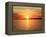 Pensacola Florida Sunset-Steven D Sepulveda-Framed Premier Image Canvas