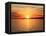 Pensacola Florida Sunset-Steven D Sepulveda-Framed Premier Image Canvas