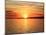 Pensacola Florida Sunset-Steven D Sepulveda-Mounted Photographic Print