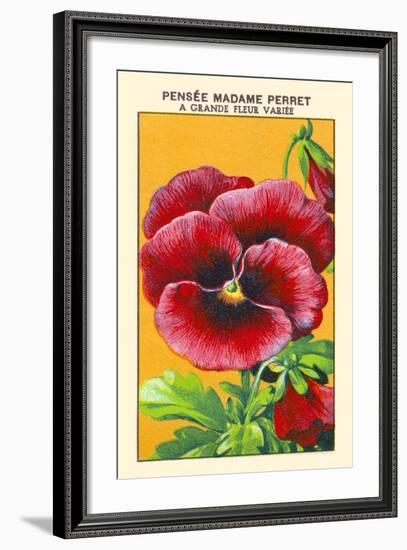 Pensee Madame Perret A Grande Fleur Variee-null-Framed Art Print