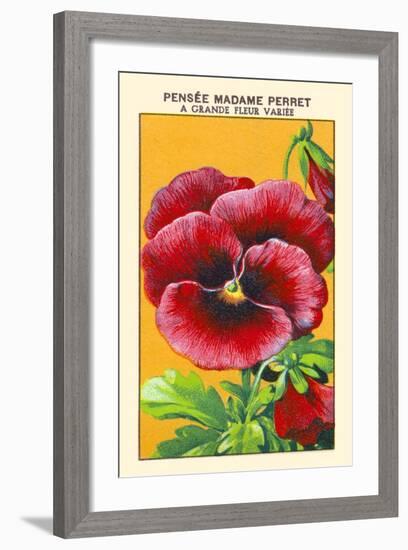 Pensee Madame Perret A Grande Fleur Variee-null-Framed Art Print