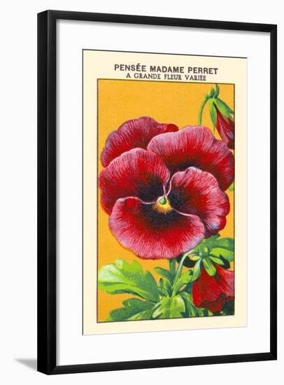 Pensee Madame Perret A Grande Fleur Variee-null-Framed Art Print