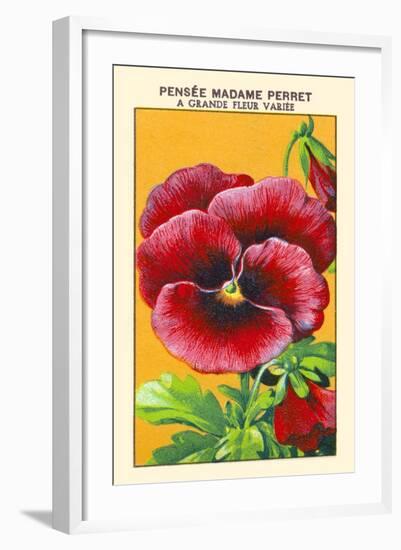 Pensee Madame Perret A Grande Fleur Variee-null-Framed Art Print