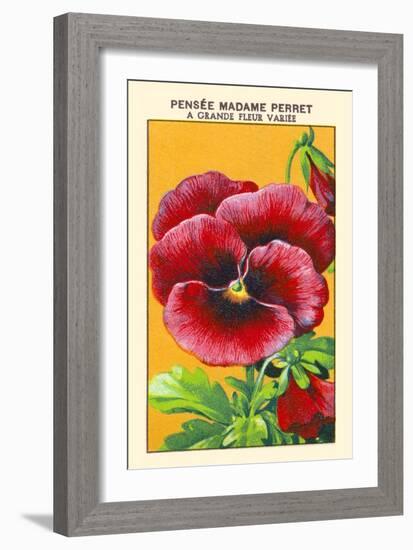 Pensee Madame Perret A Grande Fleur Variee-null-Framed Art Print