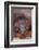 Pensive Orangutan-DLILLC-Framed Photographic Print