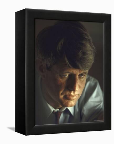 Pensive Portrait of Presidential Contender Bobby Kennedy During Campaign-Bill Eppridge-Framed Premier Image Canvas