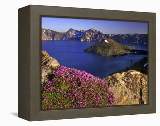 Penstemon Blooms on Cliff Overlooking Wizard Island-Steve Terrill-Framed Premier Image Canvas