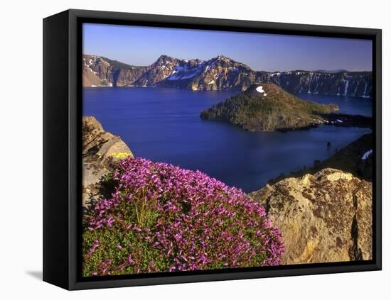 Penstemon Blooms on Cliff Overlooking Wizard Island-Steve Terrill-Framed Premier Image Canvas