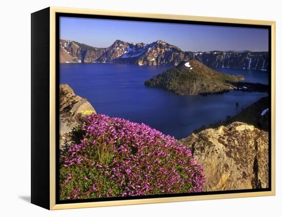 Penstemon Blooms on Cliff Overlooking Wizard Island-Steve Terrill-Framed Premier Image Canvas