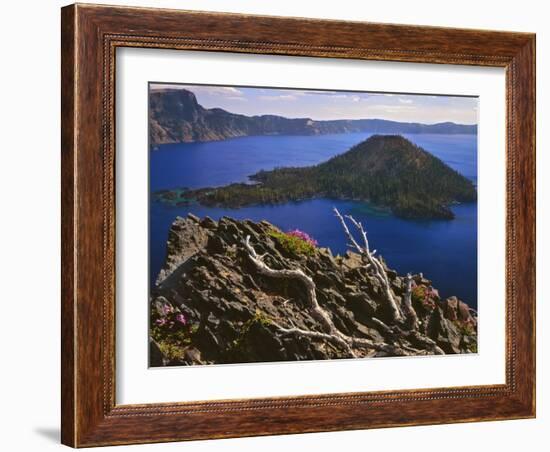 Penstemon Blooms on Cliff Overlooking Wizard Island-Steve Terrill-Framed Photographic Print