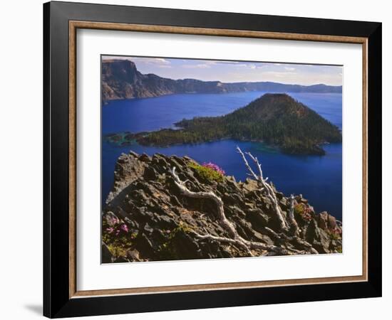 Penstemon Blooms on Cliff Overlooking Wizard Island-Steve Terrill-Framed Photographic Print