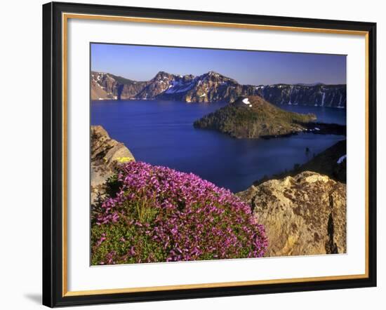 Penstemon Blooms on Cliff Overlooking Wizard Island-Steve Terrill-Framed Photographic Print