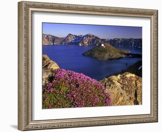 Penstemon Blooms on Cliff Overlooking Wizard Island-Steve Terrill-Framed Photographic Print